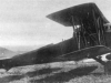 Ansaldo A.300
